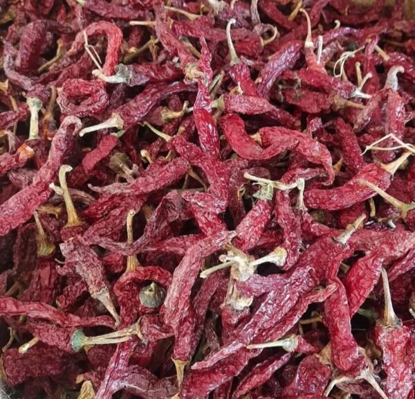 Byadgi Chilli (Kashmiri) - Image 5