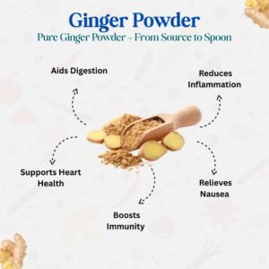 i-Spice Dry Ginger Powder